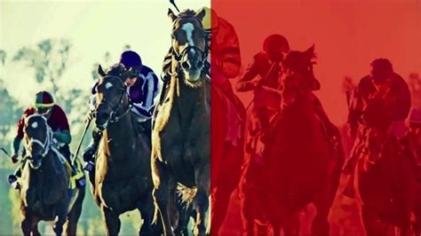 daily racing form past performance.